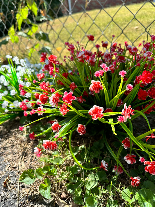 Artificial Red Gypsophilia (Baby’s Breath) Flowering Plant