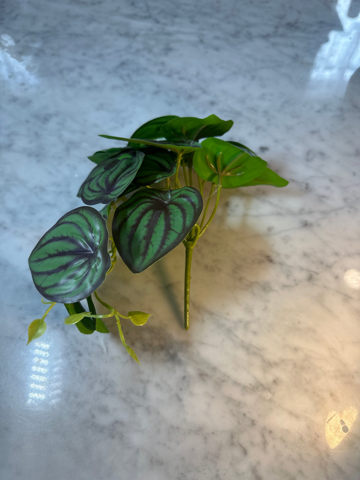 Elizabeth - Artificial Peperomia Plant