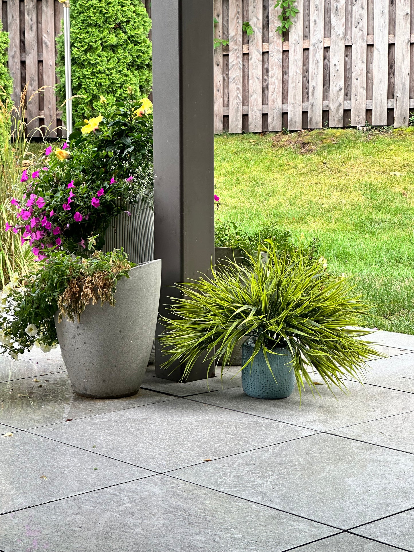 Artificial Sweet Grass Plant for Garden Landscaping