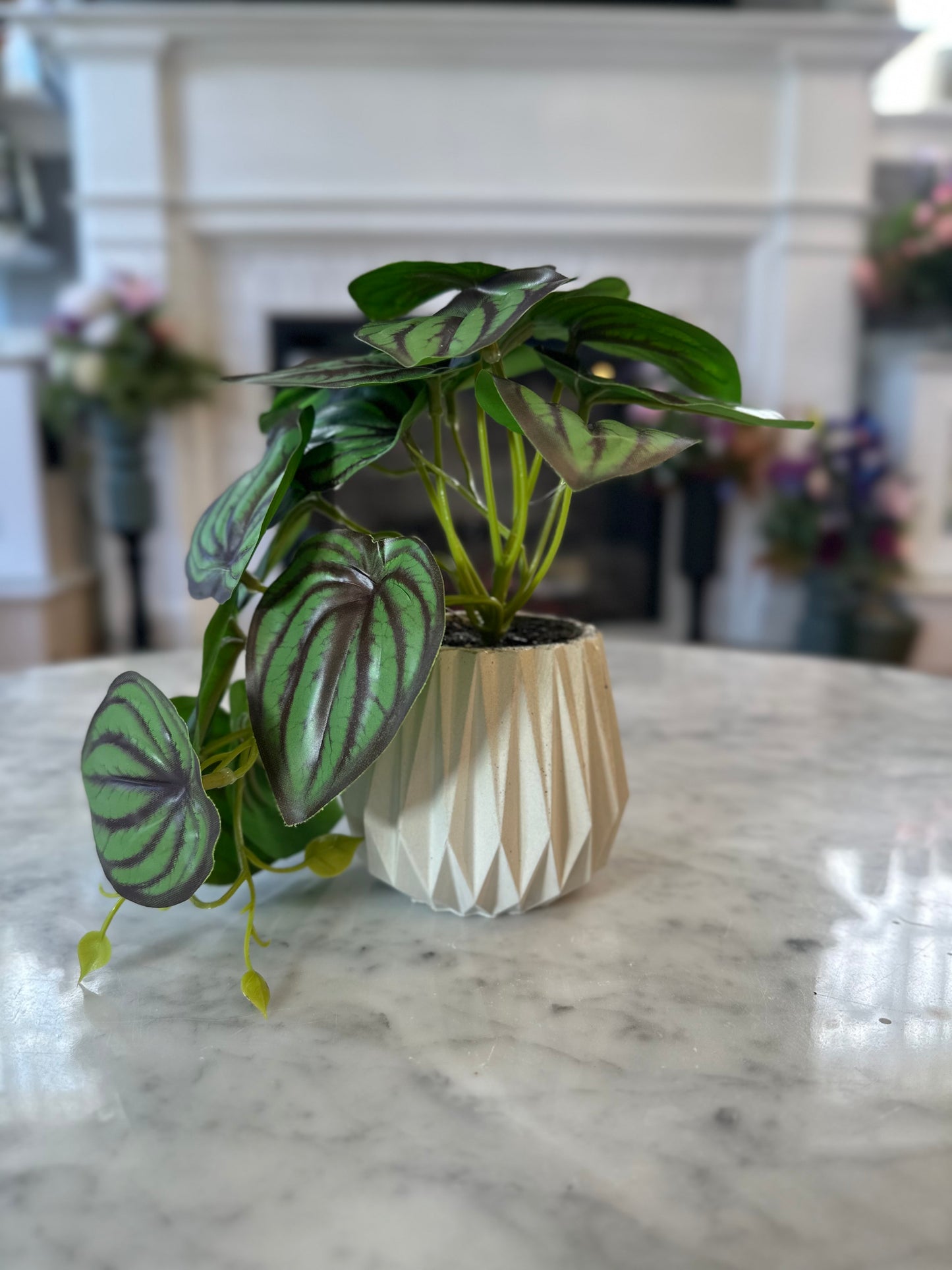 Elizabeth - Artificial Peperomia Plant