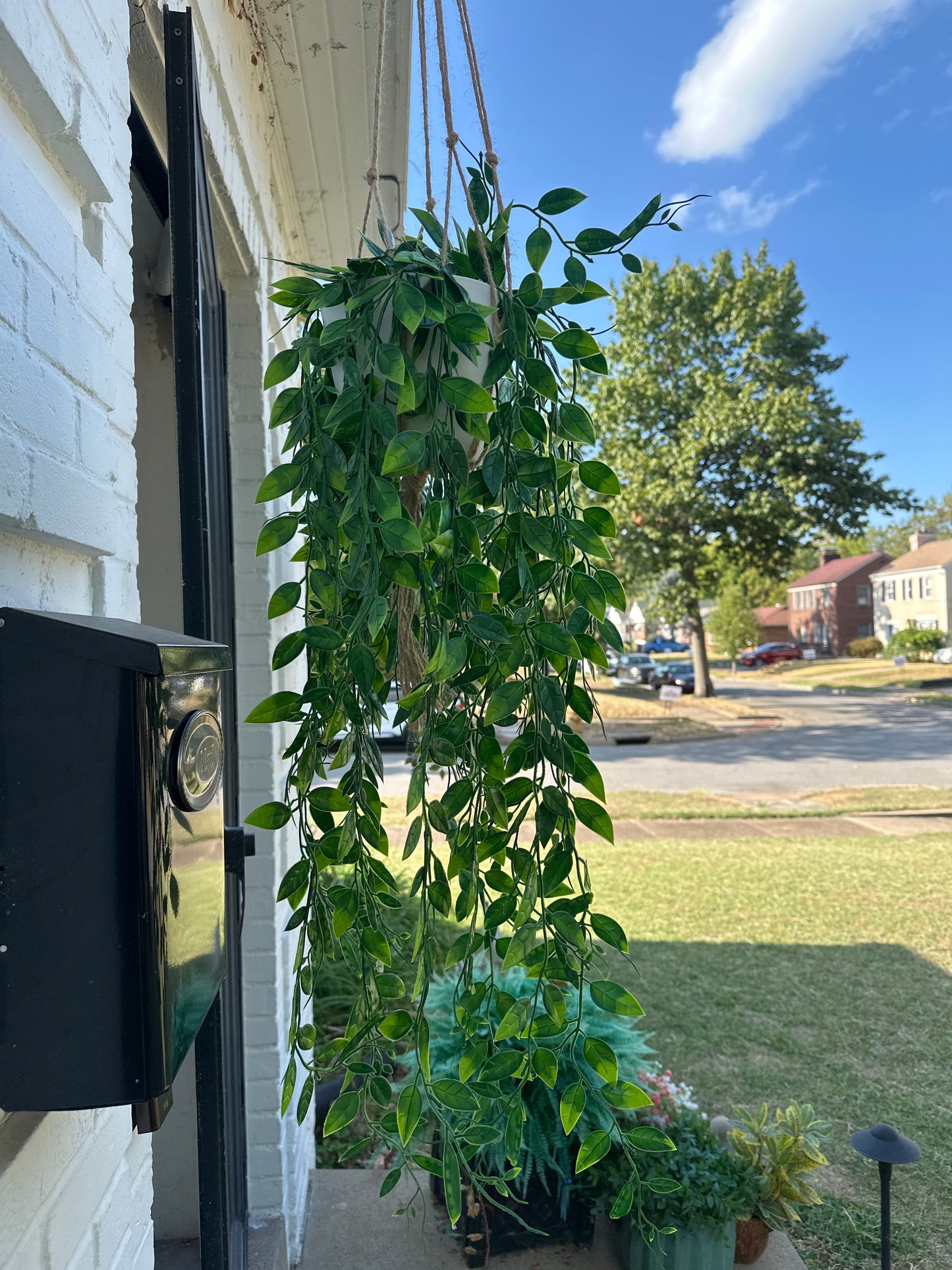 Amelia Artificial Jasmine Vine Hanging Plant – Lifelike Greenery