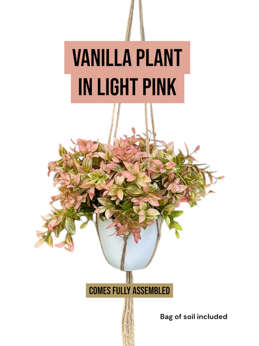 Artificial Vanilla Bush in Pink for Outdoor Greenery, Faux Plant, UV Protected