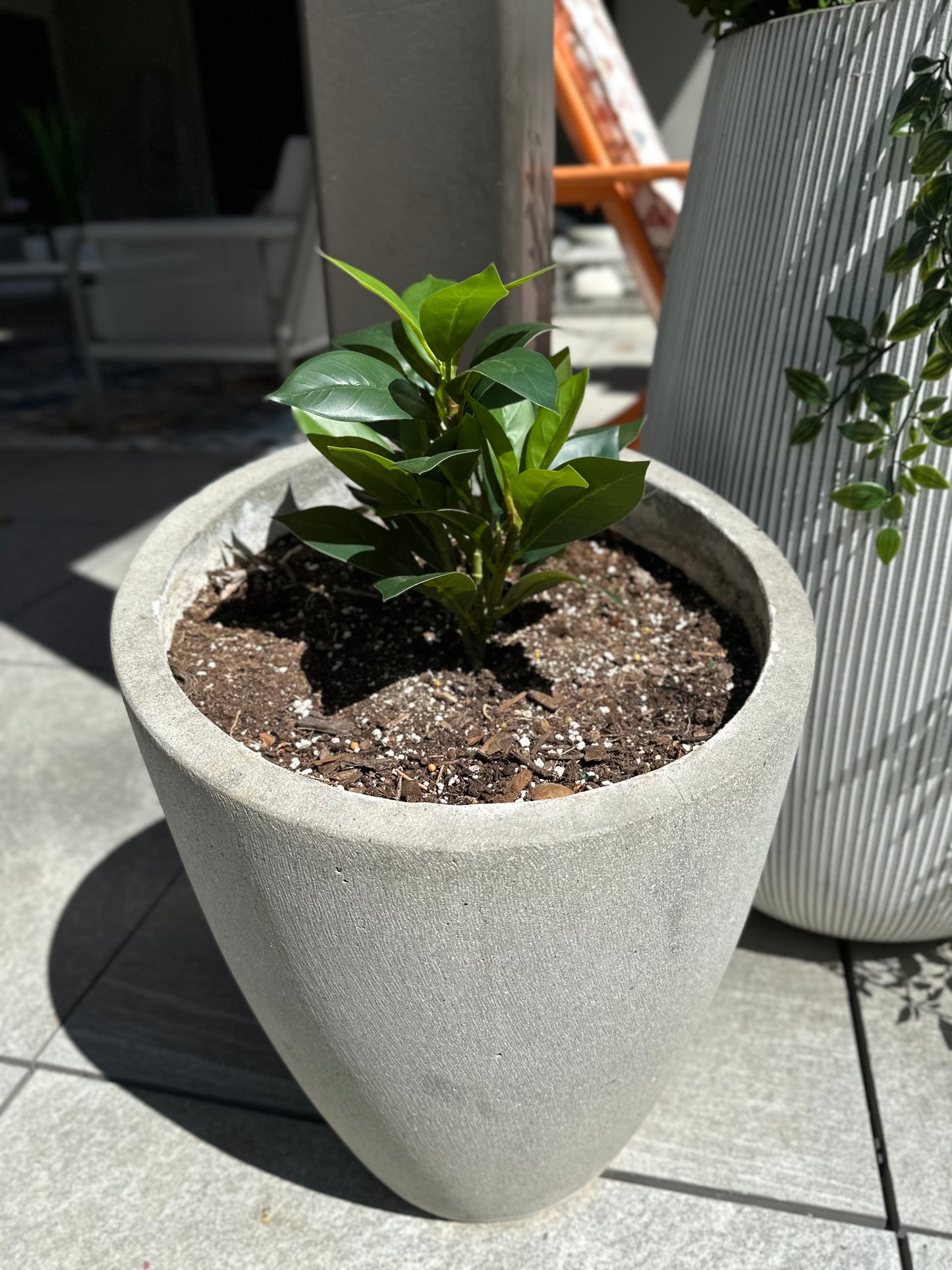 Maggie – Magnolia or Fiddle Leaf Stem Artificial Greenery, Fake Plant, outdoor or Indoor