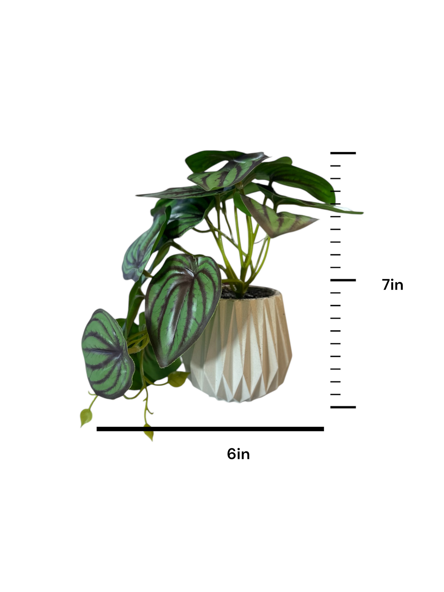 Elizabeth - Artificial Peperomia Plant