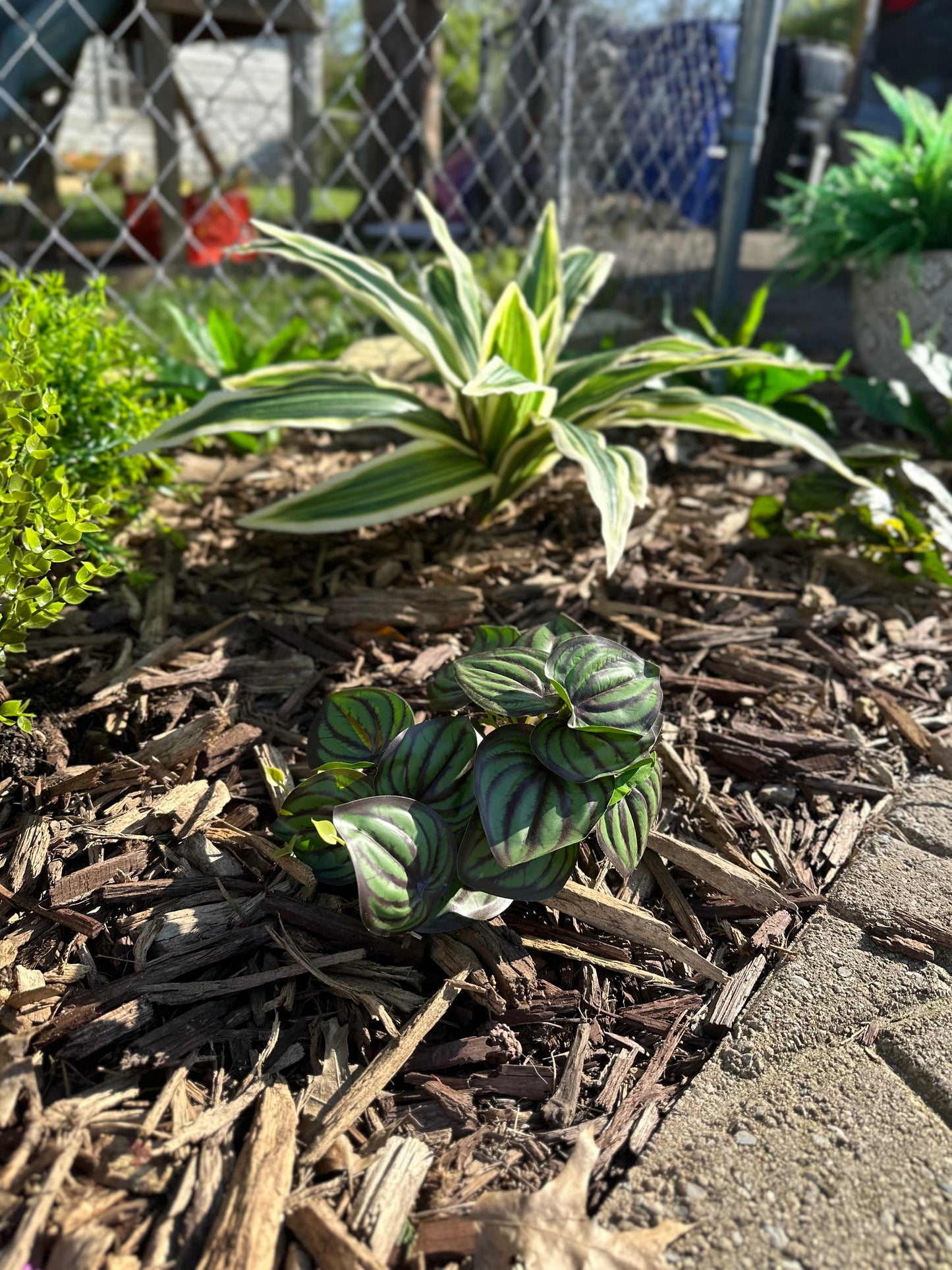 20 Leaf Brazilian Beauty Tequila artificial plant for yard