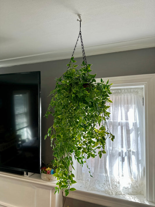 Evelyn Faux Hanging Ivy Plant – Cascading Artificial Greenery for Indoors & Outdoors