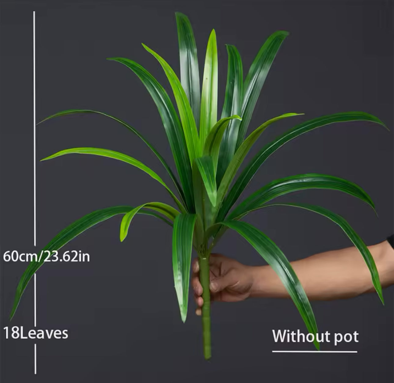 Lana – Pandan Leaf Stem or Cement Planter