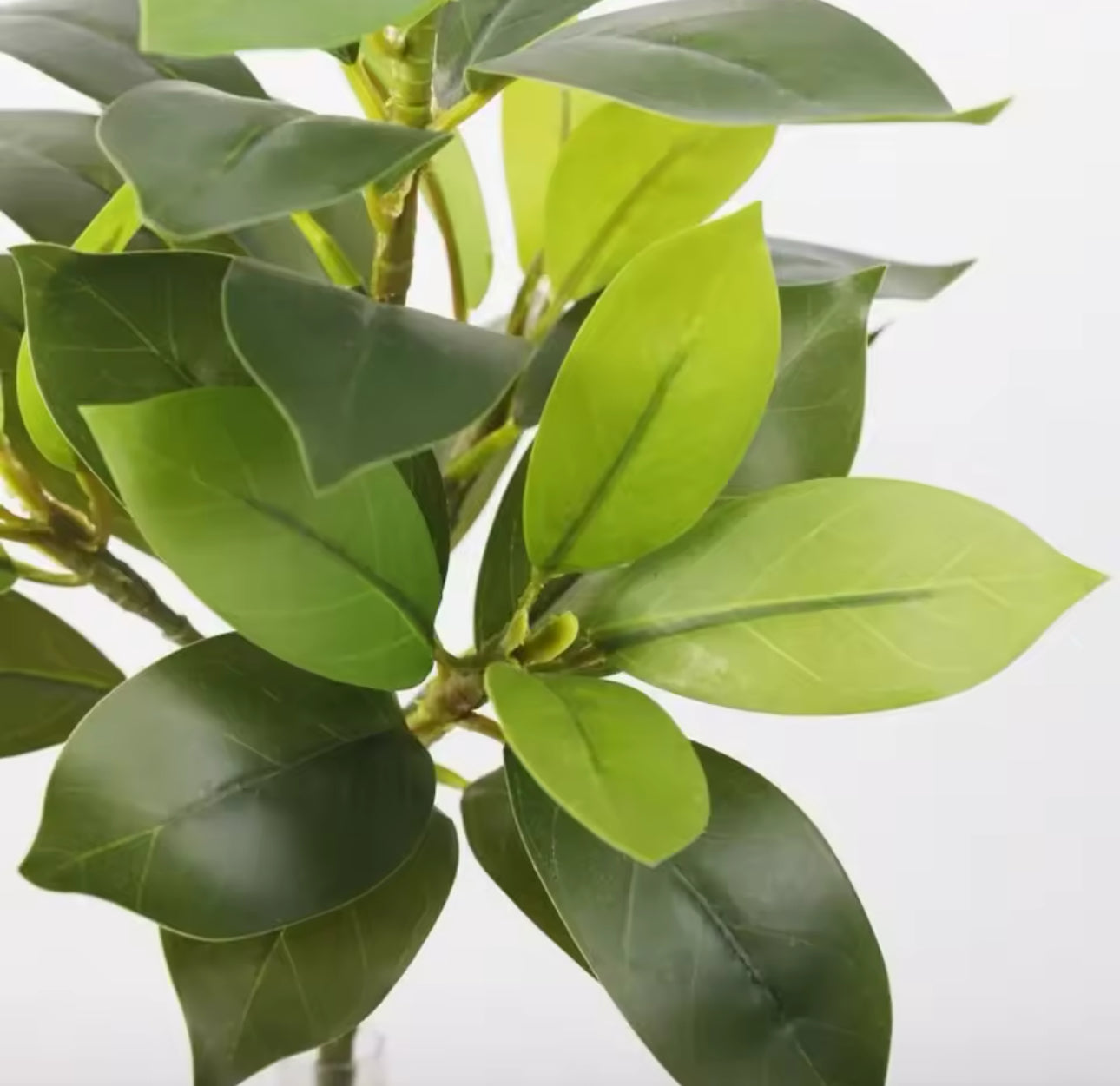 Maggie – Magnolia or Fiddle Leaf Stem Artificial Greenery, Fake Plant, outdoor or Indoor