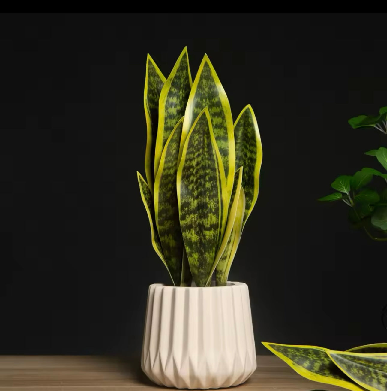 faux snake plant leaves Artificial Snake Plant – 6 Leaf Sansevieria Stem (14.5” Tall) – No pot included