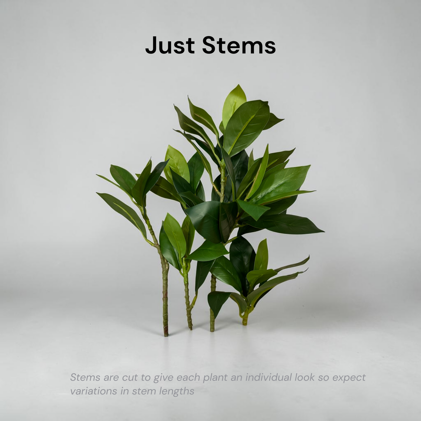 Naomi Water-Free Artificial Plant