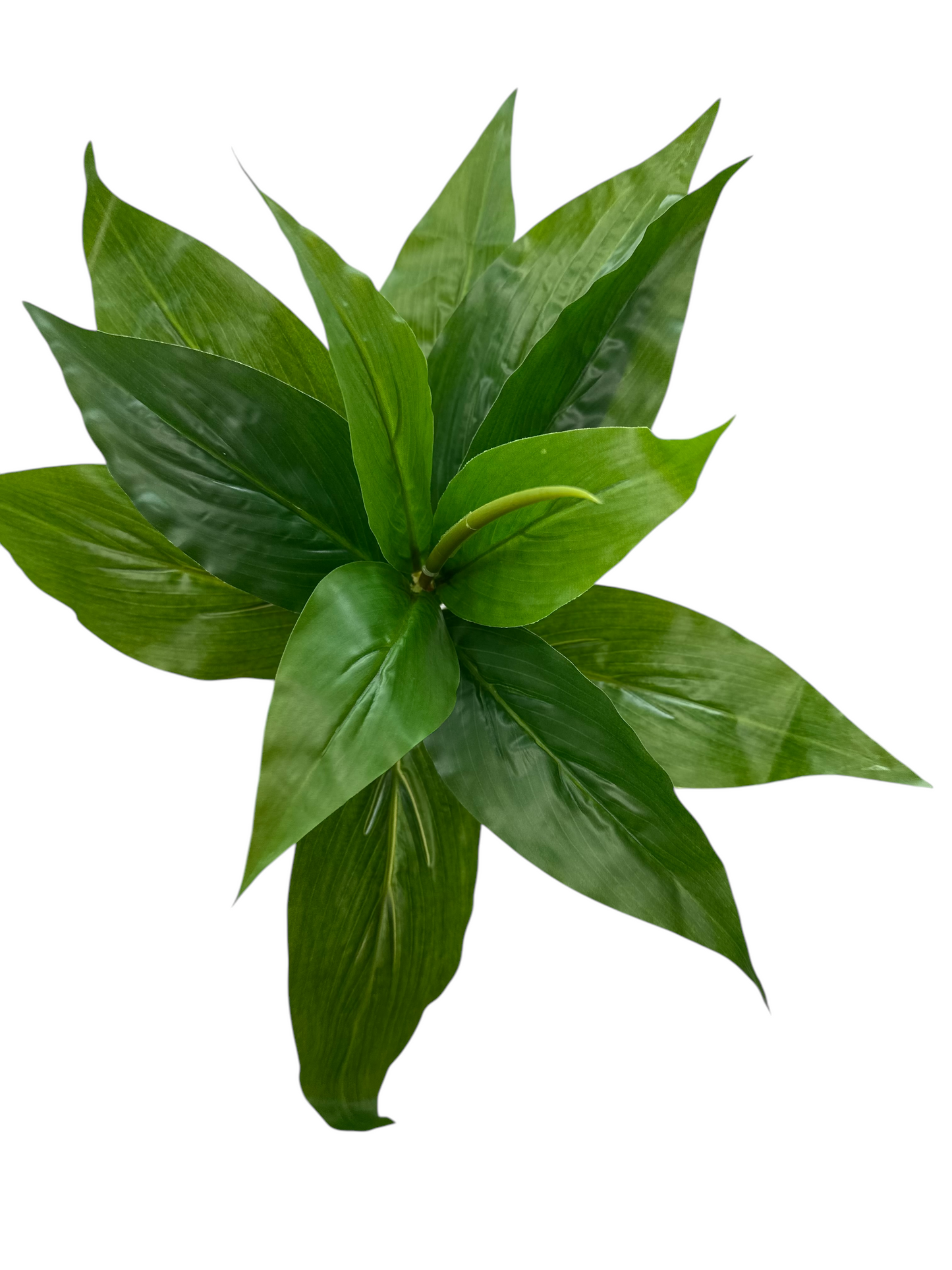 Green Aglaonema Fake Outdoor Plant That Looks Real