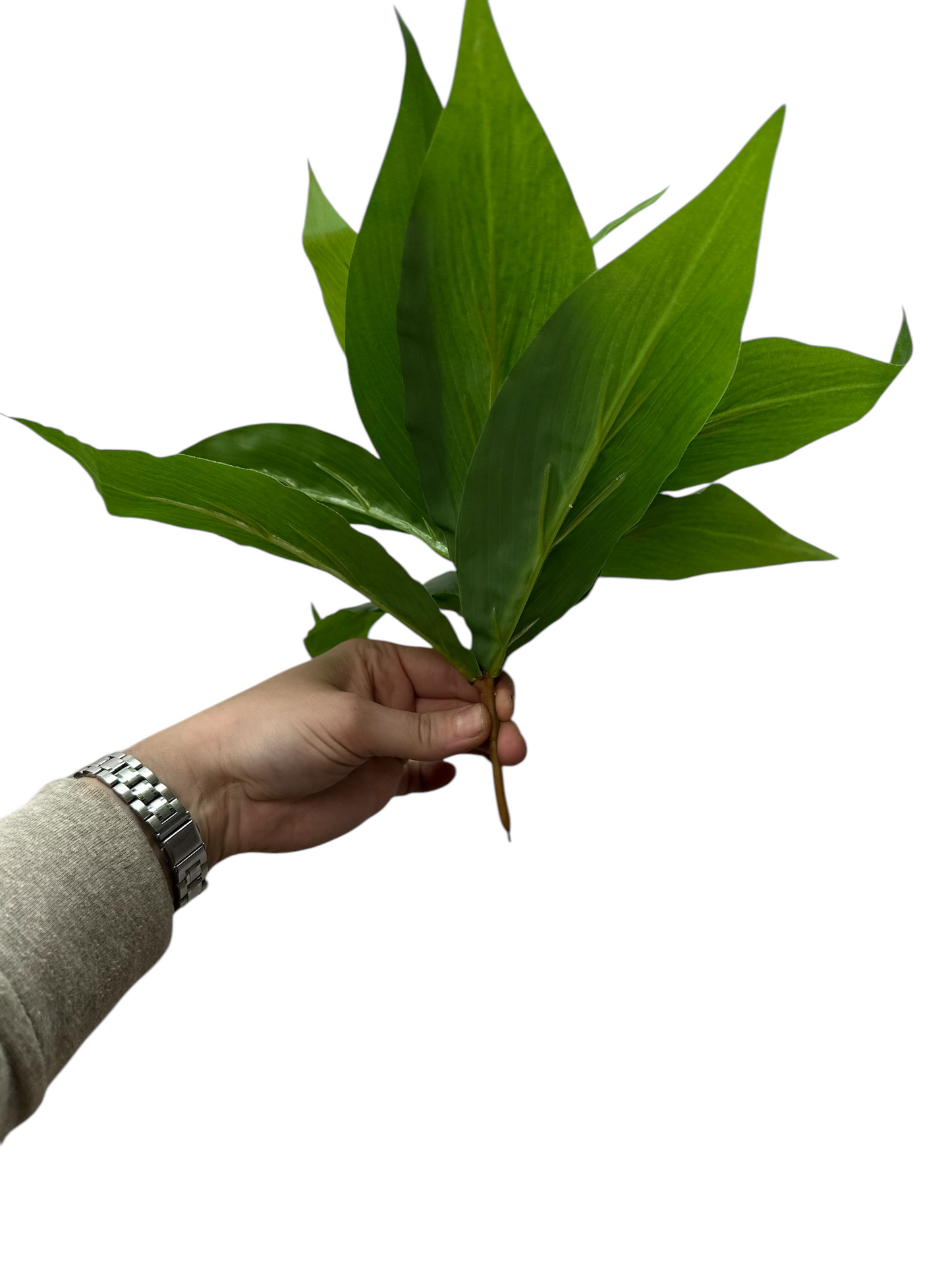 Green Aglaonema Fake Outdoor Plant That Looks Real