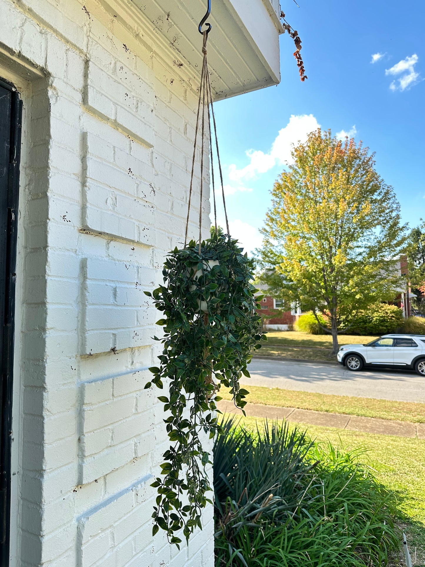Evelyn Faux Hanging Ivy Plant – Cascading Artificial Greenery for Indoors & Outdoors