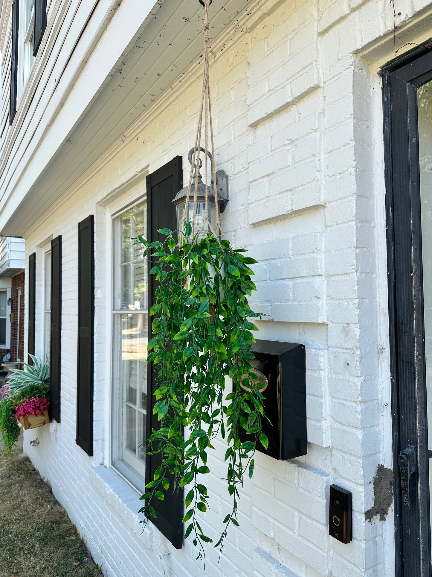 Amelia Artificial Jasmine Vine Hanging Plant – Lifelike Greenery