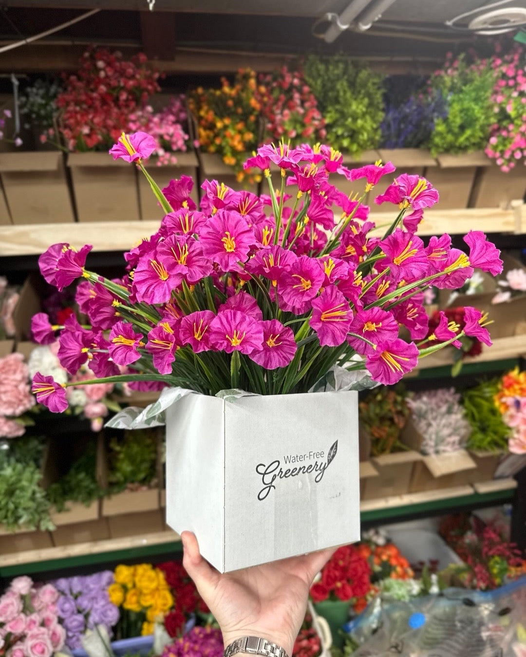 All Plants and Accessories