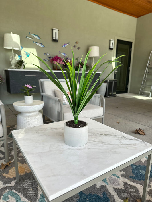 Lana – Pandan Leaf Stem or Cement Planter
