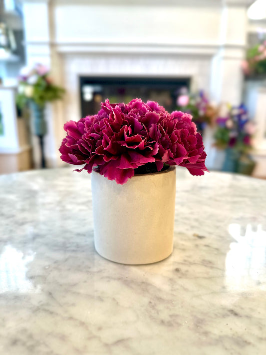 Vivienne — The Crimson Ruffle