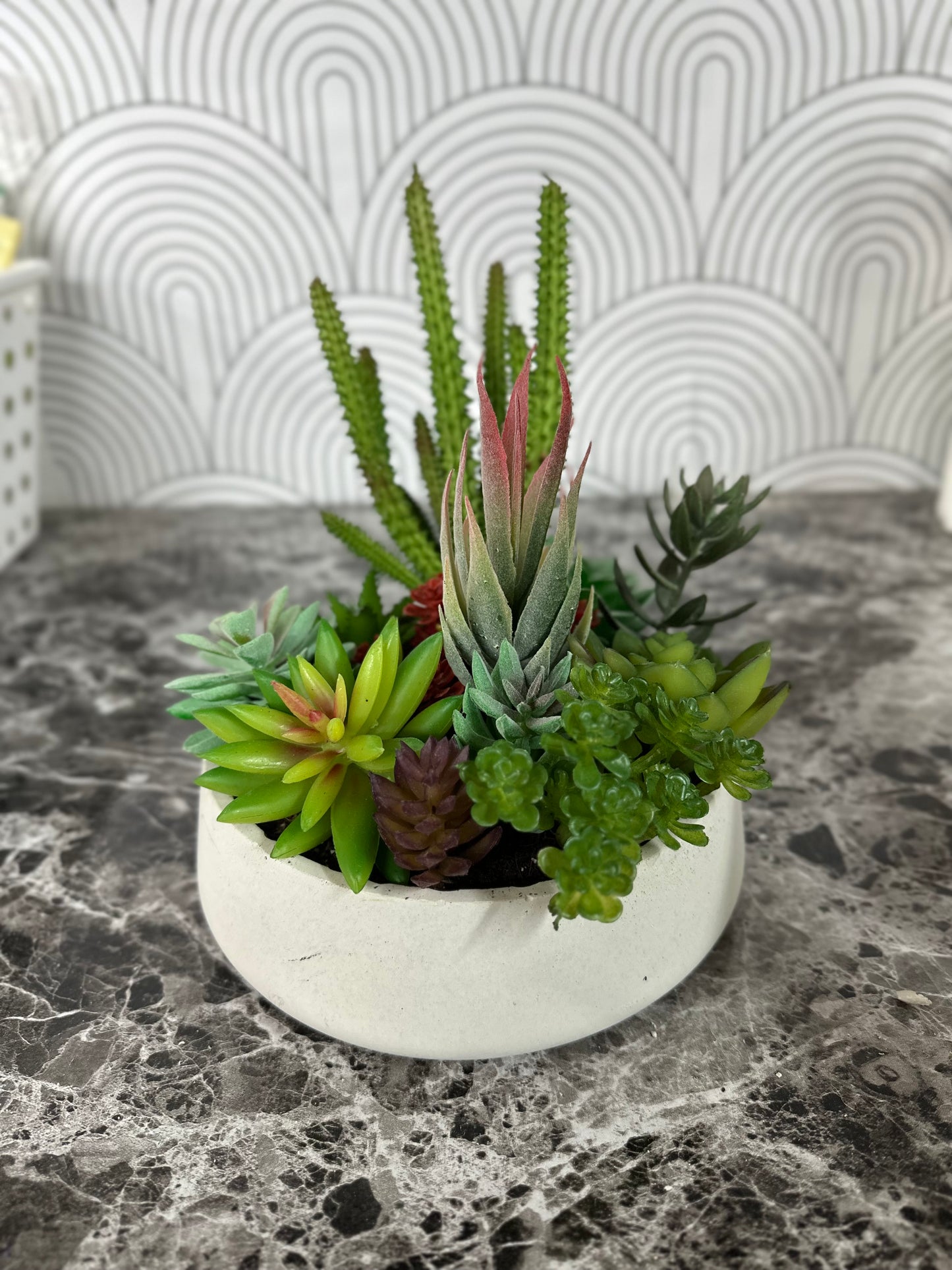 Artificial Succulent Garden in Modern Cement Planter