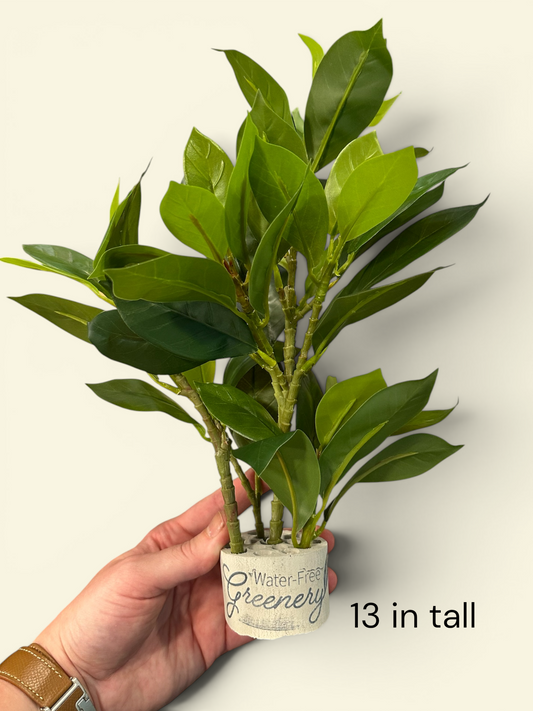 Naomi Water-Free Artificial Plant