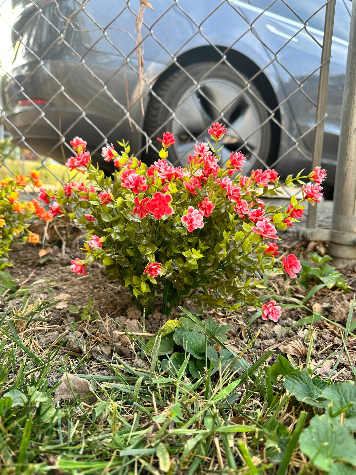 Artificial Red Eucalyptus Plant for Garden Landscaping