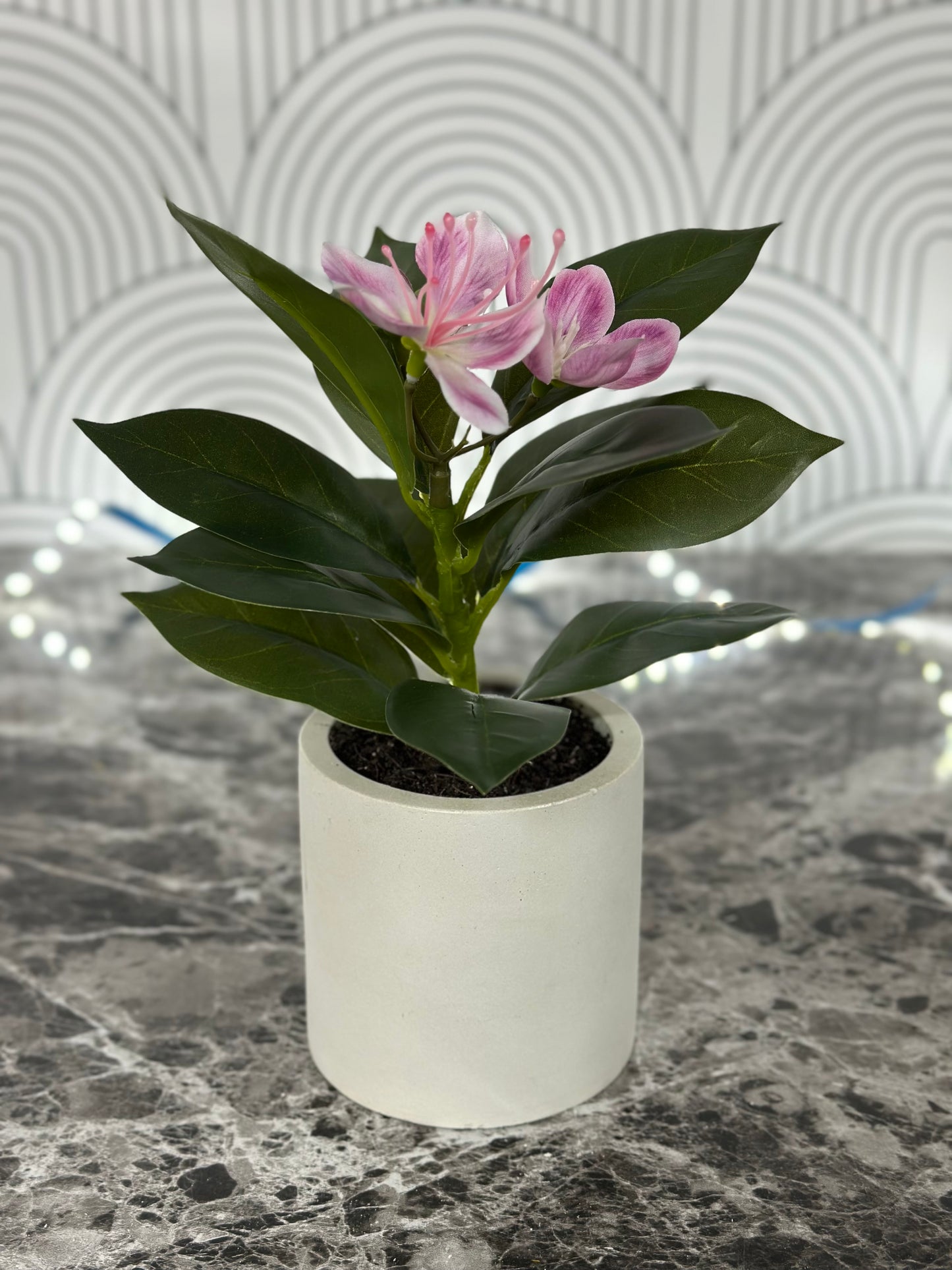Francis - Pacific Rhododendron Artificial Indoor Plant in Cement Vase