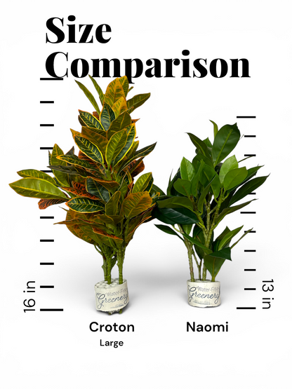 Naomi Water-Free Artificial Plant