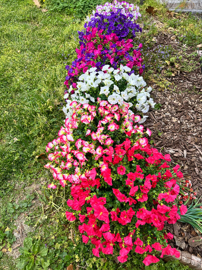 Potted Petunia Artificial Plant