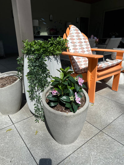 Francis - Pacific Rhododendron Artificial Indoor Plant in Cement Vase