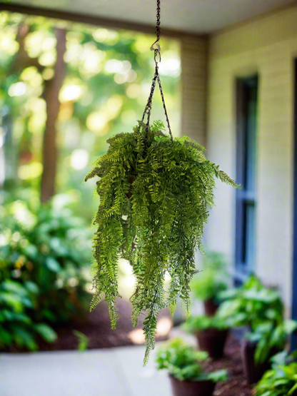 Artificial Hanging Boston Fern