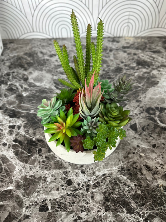 Artificial Succulent Garden in Modern Cement Planter