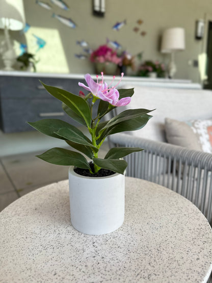 Francis - Pacific Rhododendron Artificial Indoor Plant in Cement Vase