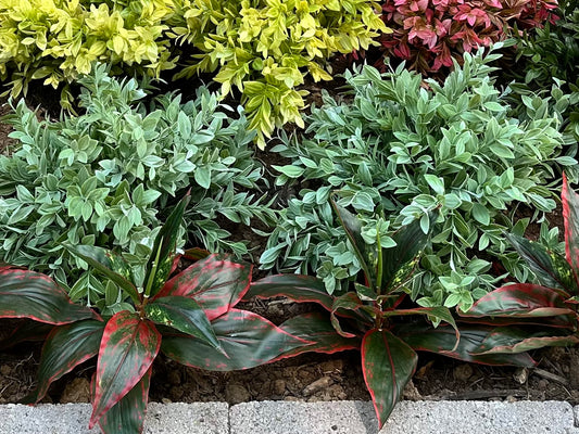 Artificial Frosted Green Vanilla Plant for Garden Landscaping
