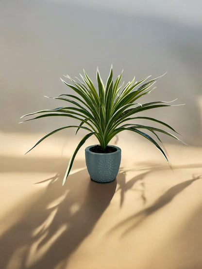 Artificial Ribbon Plant