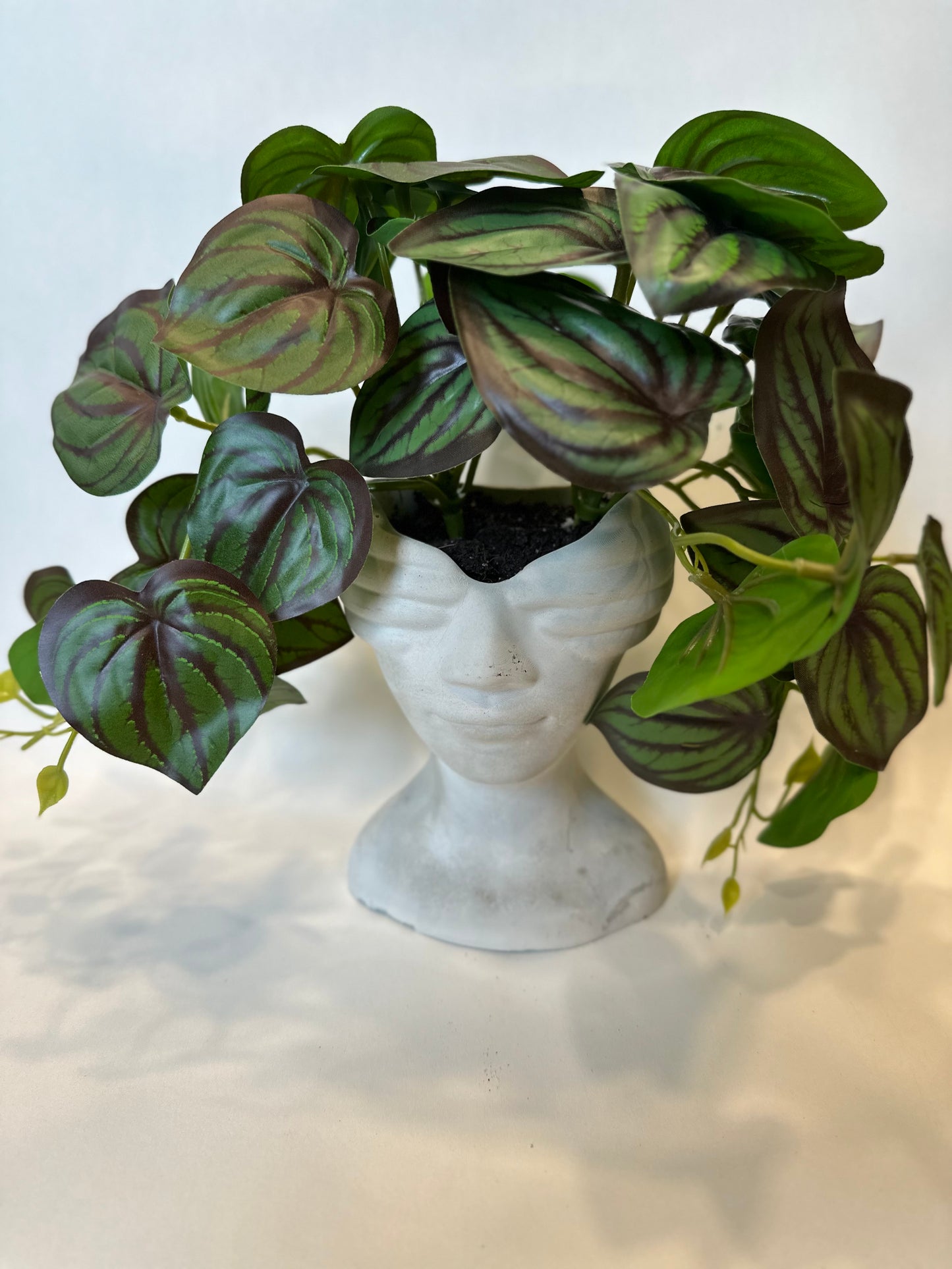 Rhonda – The Bold Beauty with Hands Forward and Lush Peperomia Hair