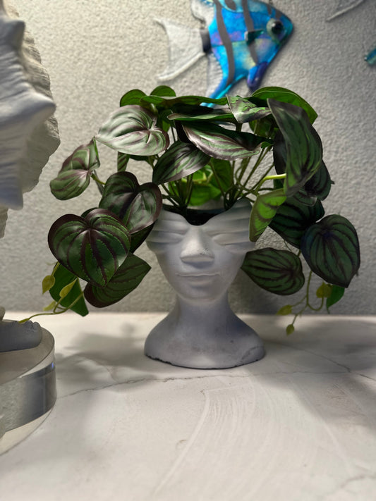Rhonda – The Bold Beauty with Hands Forward and Lush Peperomia Hair