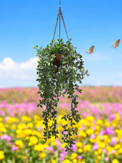 ivy hanging plant outdoor Evelyn Faux Hanging Ivy Plant – Cascading Artificial Greenery for Indo – Water Free Greenery
