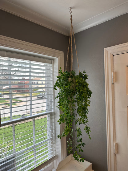 Evelyn Faux Hanging Ivy Plant – Cascading Artificial Greenery for Indoors & Outdoors