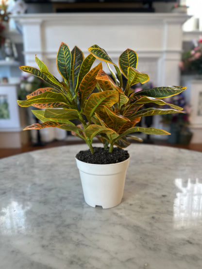 Artificial Crotons Plant for Garden Landscaping