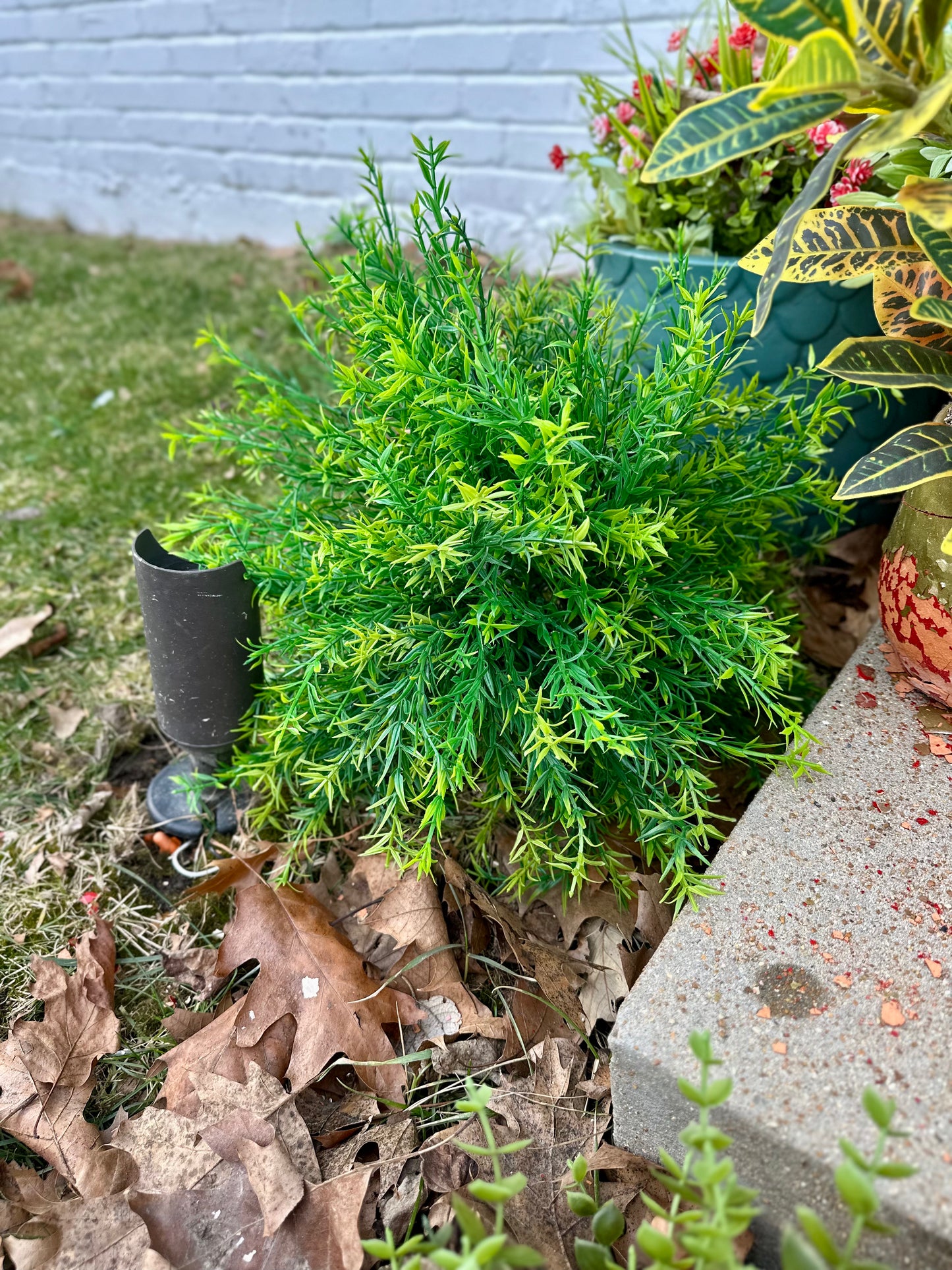 Artificial Spiky Boxwood Bush Faux Greens low maintenance