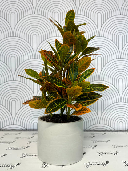 Artificial Crotons Plant for Garden Landscaping