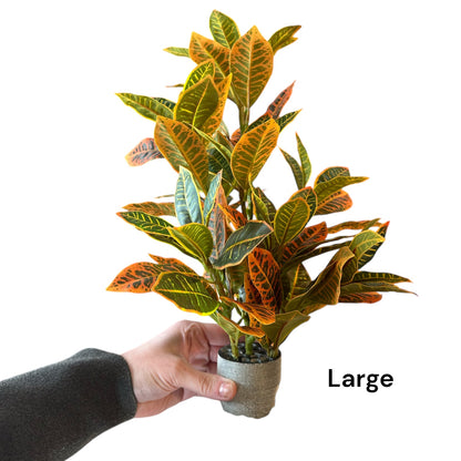 Artificial Crotons Plant for Garden Landscaping
