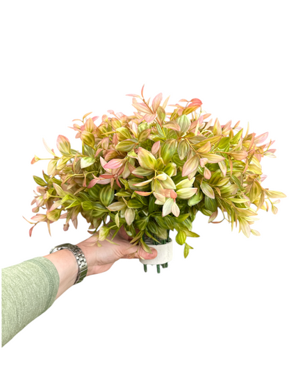 Artificial Vanilla Bush in Pink for Outdoor Greenery, Faux Plant, UV Protected