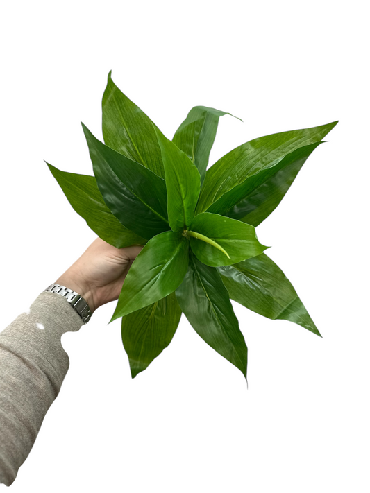 Green Aglaonema Fake Outdoor Plant That Looks Real