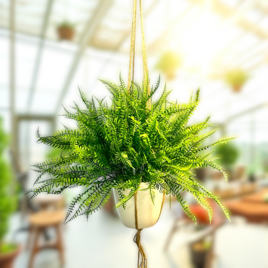 Artificial Fern Plant for Garden Landscaping