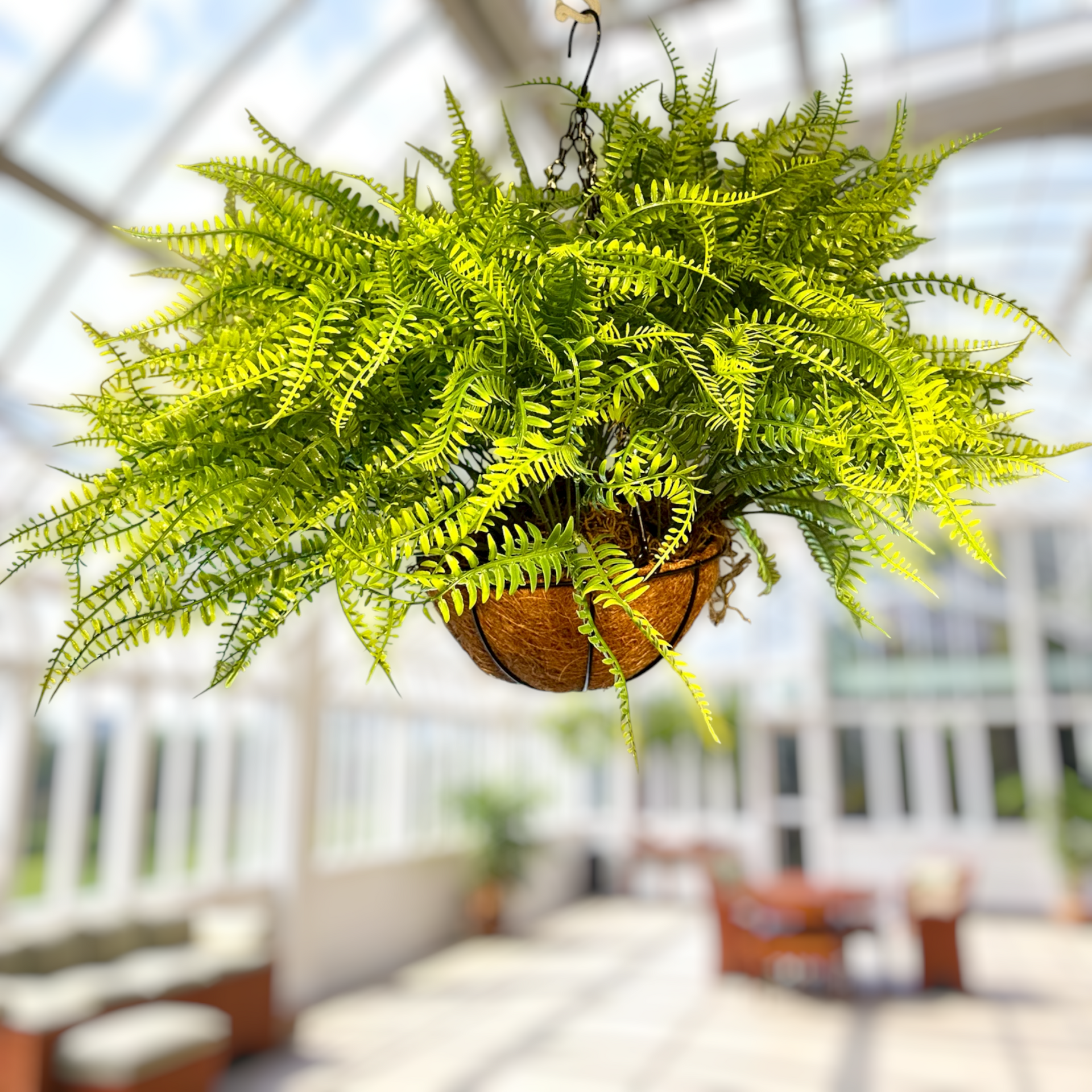 artificial fern plants indoor Artificial Fern Plant for Garden Landscaping – Water Free Greenery
