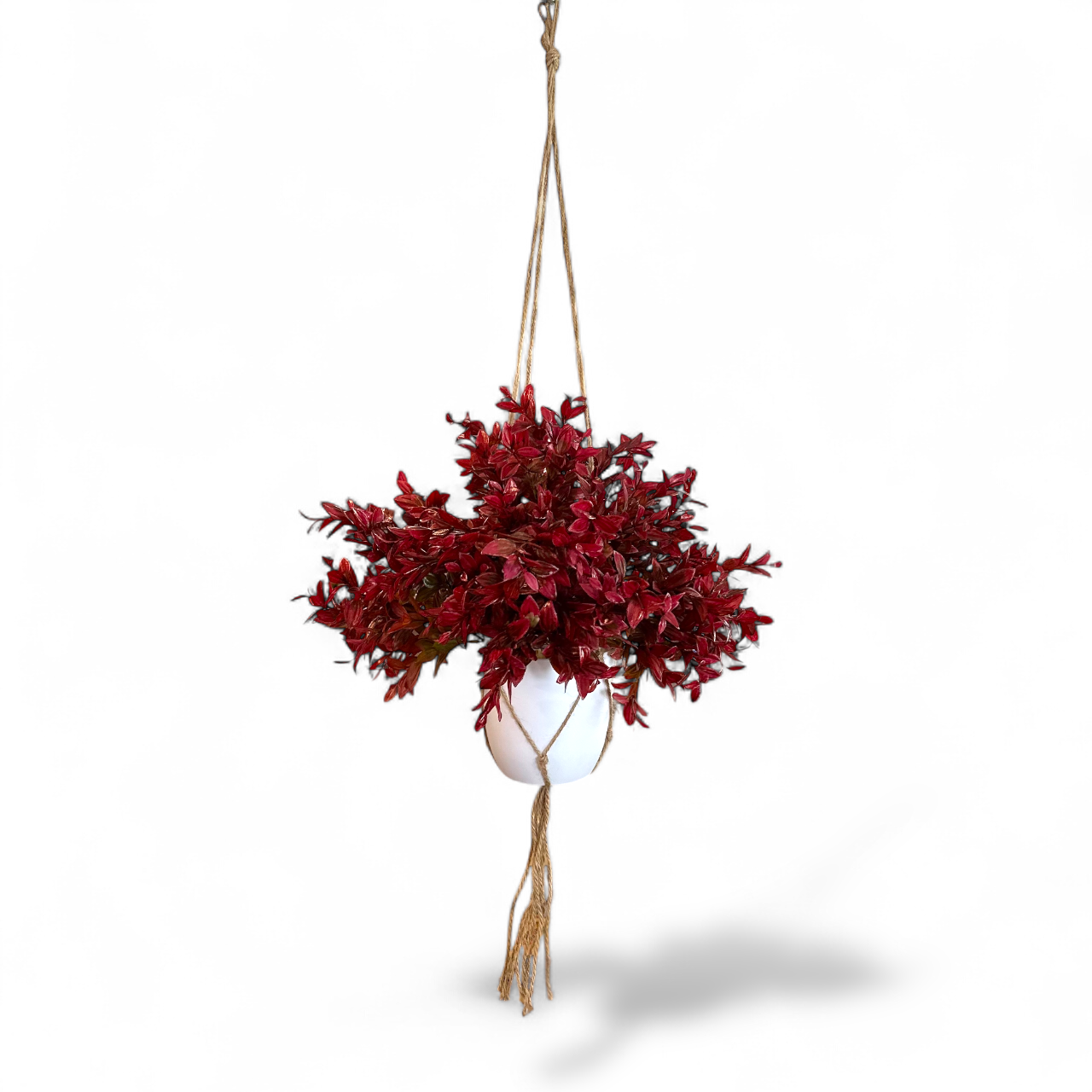 Artificial Vanilla Plant in Dark Red for outdoor greenery, fake foliage, uv protected