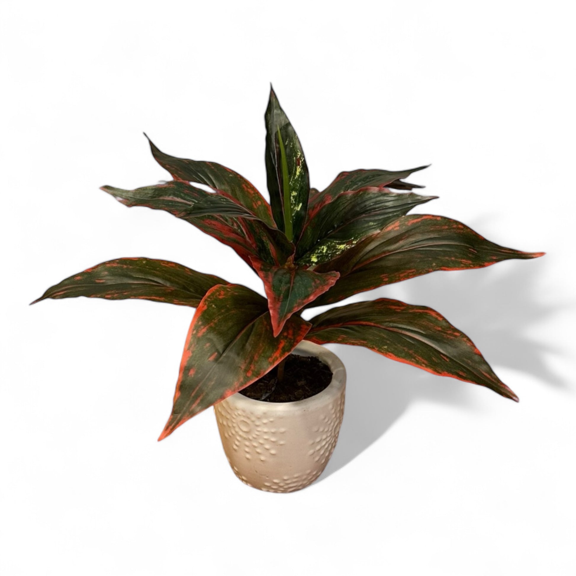aglaonema outdoors Aglaonema Fake Plant for Indoor and Outdoor for Garden Landscaping – Water Free Greenery