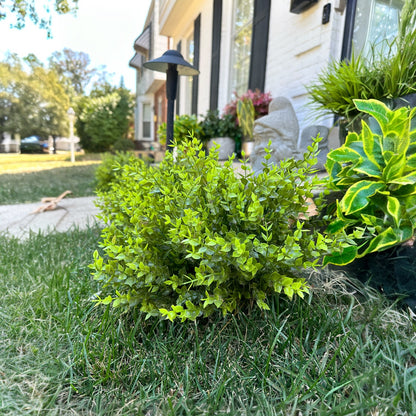 Artificial Boxwood Bush for Garden Landscaping