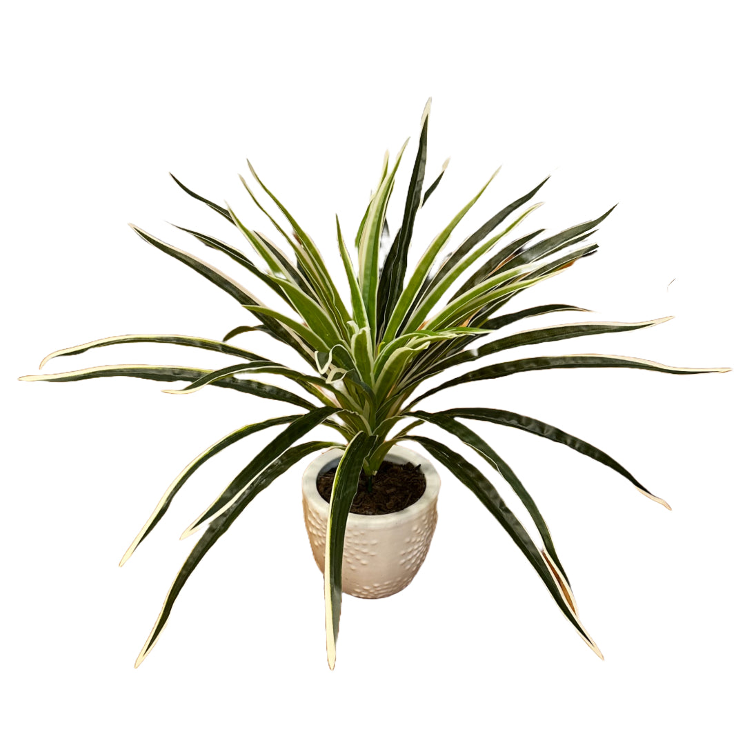 Artificial Ribbon Plant