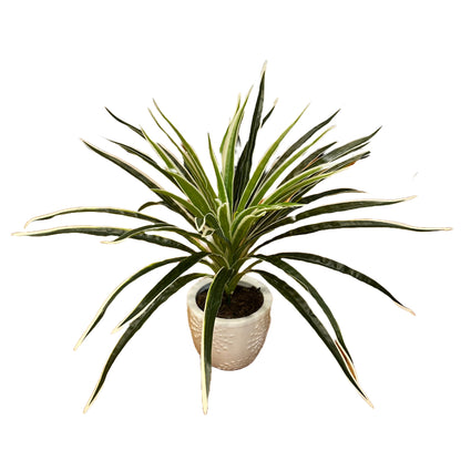 Artificial Ribbon Plant